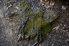 Adolf-Damaschke-Platz 2024