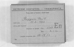 Abtransportkarte aus Theresienstadt für Elsa Ruppin